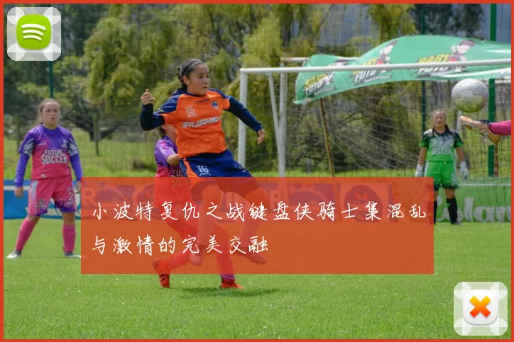 小波特复仇之战键盘侠骑士集混乱与激情的完美交融