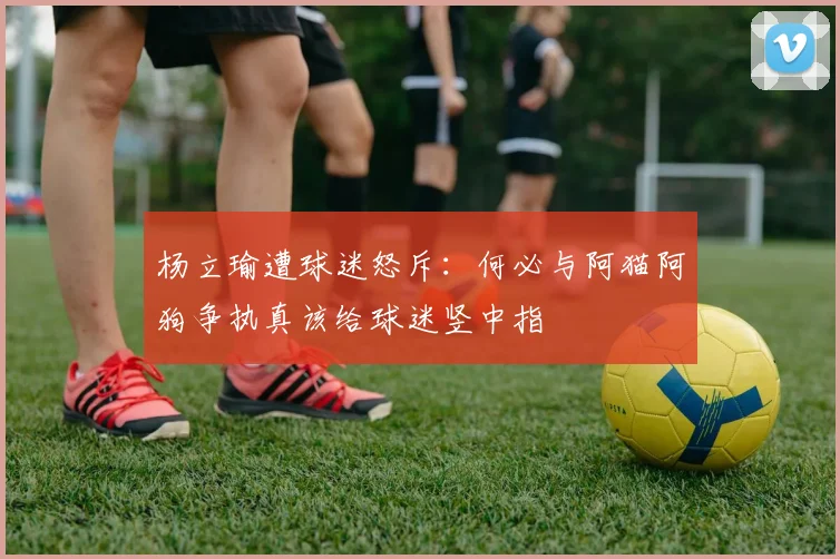 杨立瑜遭球迷怒斥：何必与阿猫阿狗争执真该给球迷竖中指