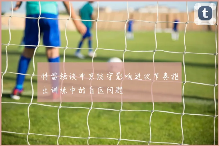 特雷杨谈申京防守影响进攻节奏指出训练中的盲区问题