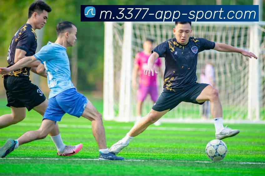 3377体育平台生态图